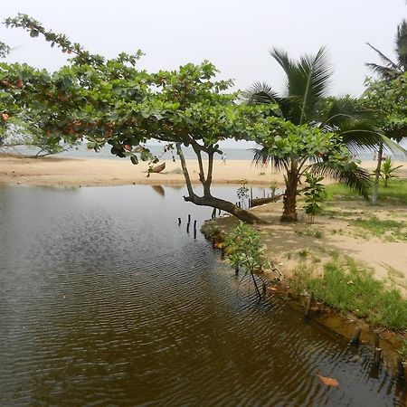 Hotel Tara Plage كريبي المظهر الخارجي الصورة